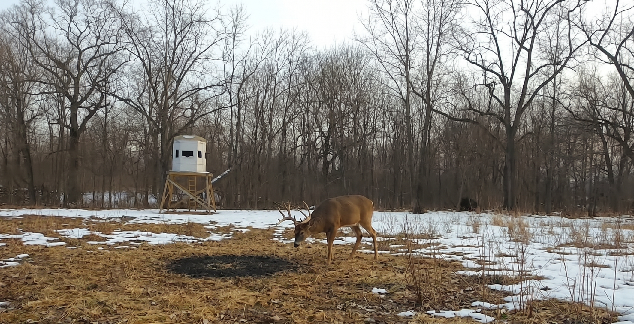 Trail Camera Photos for Booked Clients: What to Share, What to Hide, and How to Send It Once